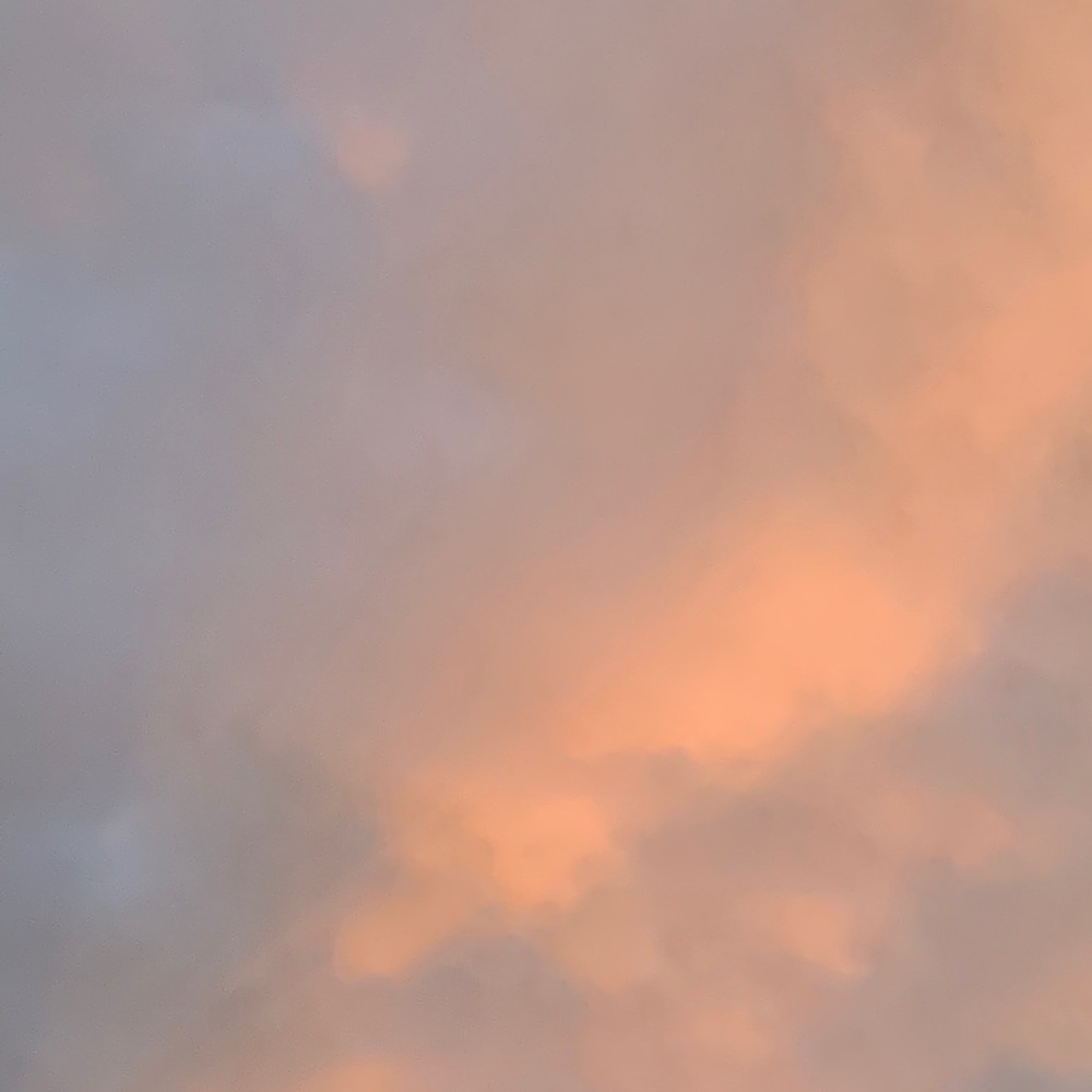 Meet your Posher, Sofia